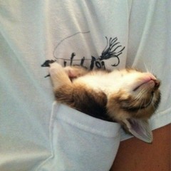 kimi