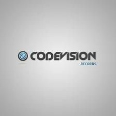 Code Vision records