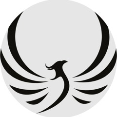 DMX - Slippin [Southern Blues Rendition]