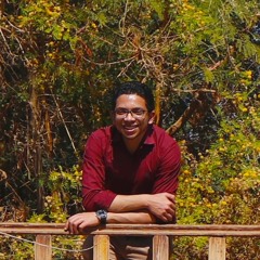 Mohamed Samir Mousa