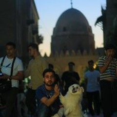 صلاح مندي