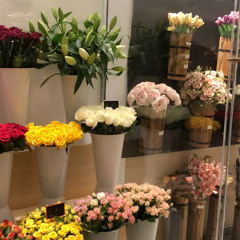 جمانه 🌷.