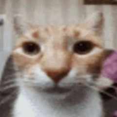 Kultus