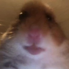 skibidi