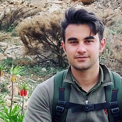 ماموستا زیرک