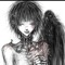 nds.raven