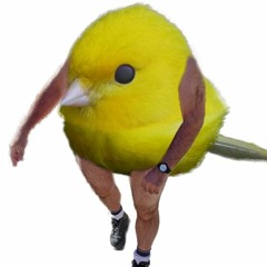 ツjoe