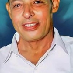 Shimaa Khater