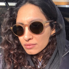aida seif