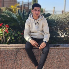 Youssef El-Sayed