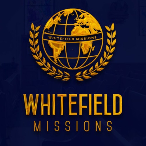 Stream LIGHTSTREAM MEDIA music Listen to songs, albums, playlists for