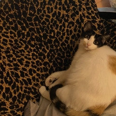 Lupita