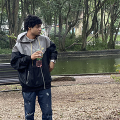 B16_raro