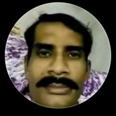 amir