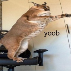 hh