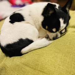 ちびひゆう