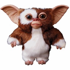 Notabota