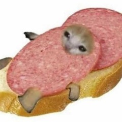 Sandwich