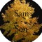 Sam.Son