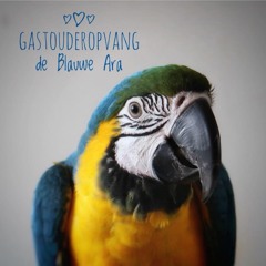 Gastouderopvang de blauwe ara
