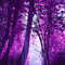 HU & MU's PURPLE BLISS QUINGDOM