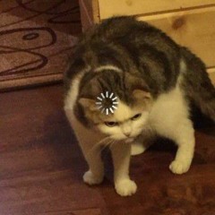 F A K E