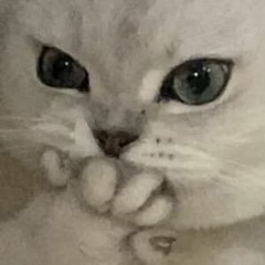 282