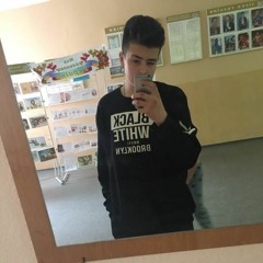 danilkin_n_n1