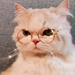 kitty:)