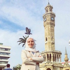 M. ISIK KILINC