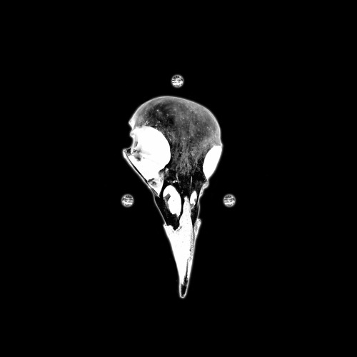 Crow Moon’s avatar