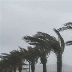 La Rumeur -du vent- 404