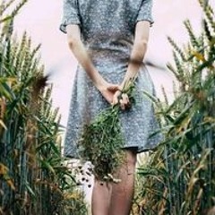 ساره عبده