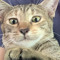 am midle