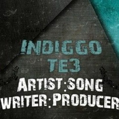 Indiggo Te3