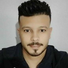 ali elsafty