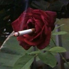 ڜ✗2
