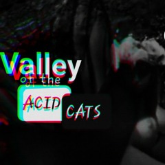 Valley of the Acid Cats