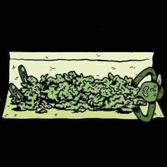 ਹਮੇਸ਼ਾ ਖੁਸ਼