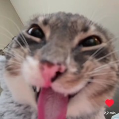 _Danielek_