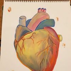 Amélie Loinorchestre