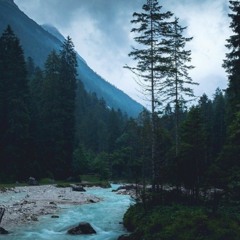 Darren Gribbo Gribben