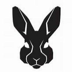 Shxdy Rabbit