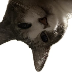ㅤ
