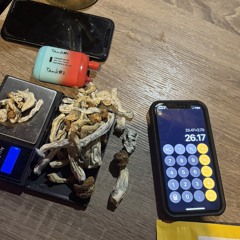 🍄📲