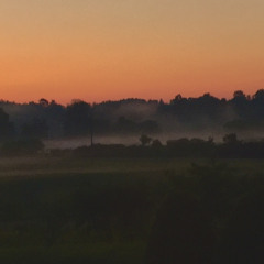 Artūrs Augustiņš