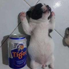 2110