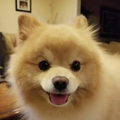 Eugene Yan