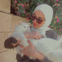 Hajar Mohammad