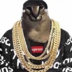 Patrick J. Colegrove